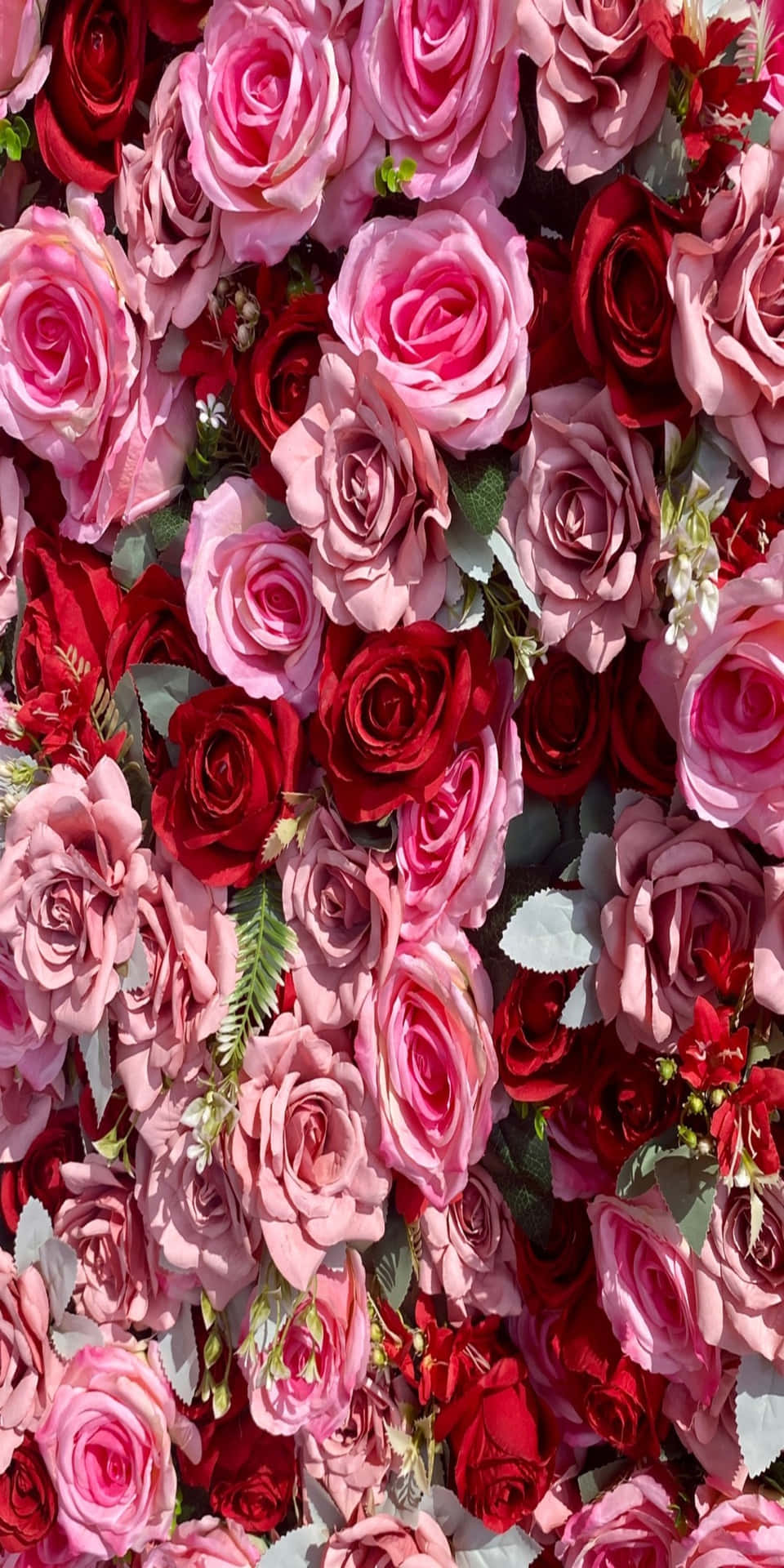 Sfondocon Rose Rosse E Rosa Per Pixel 3