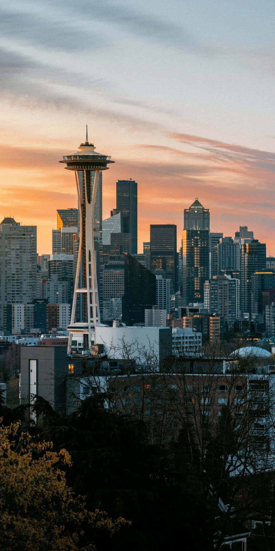 Skylinenotturna Di Seattle Vista Da Pixel 3
