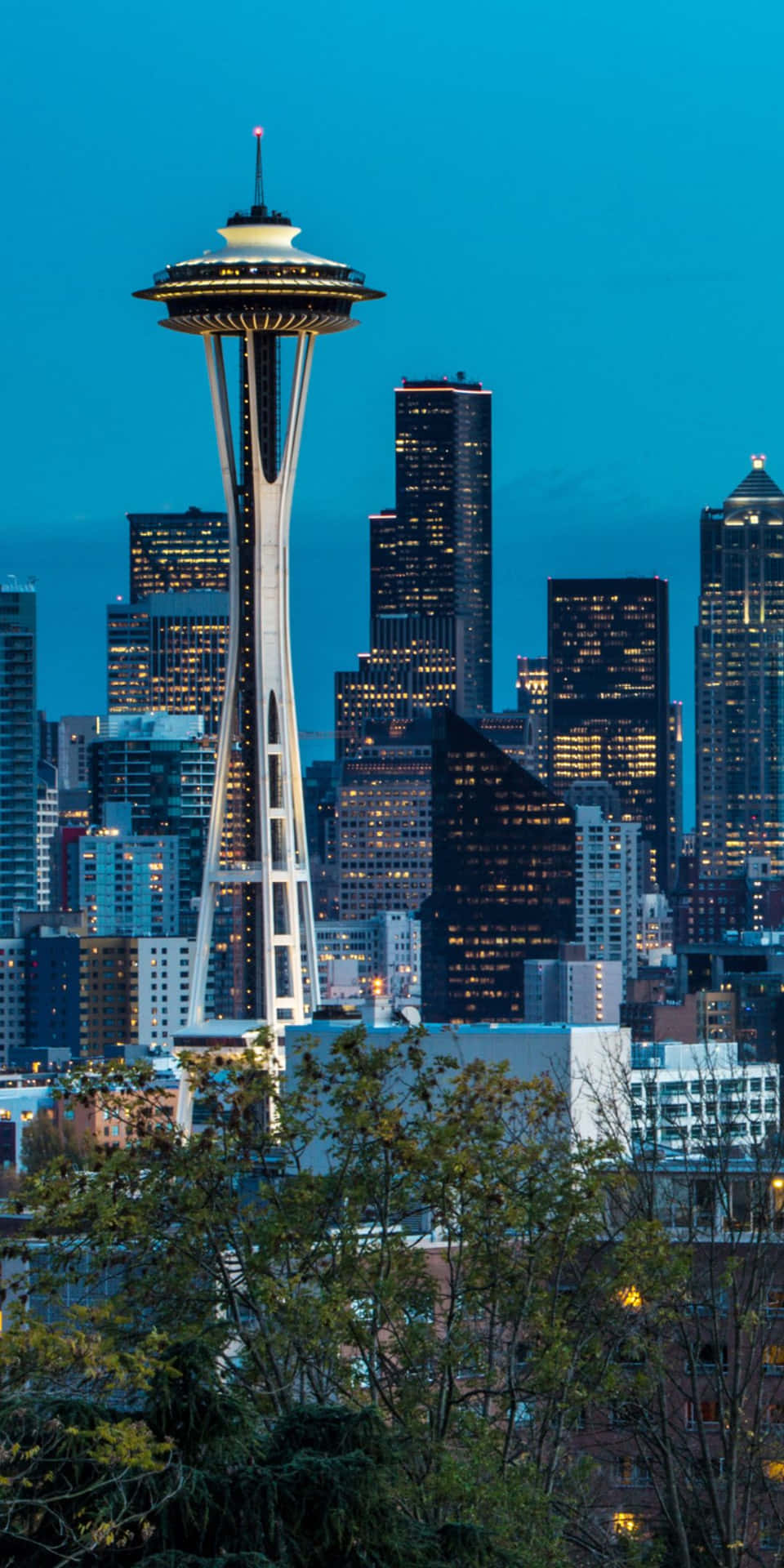 Seattle Skyline At Dusk With The Space Needle