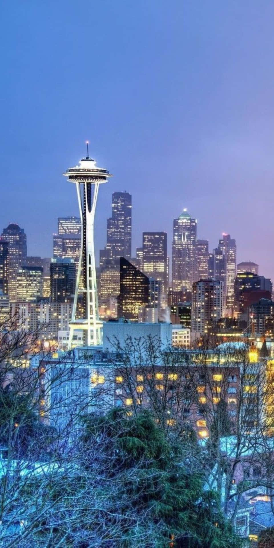 Skönheteni Seattle Skyline Ses Genom Linsen På En Pixel 3 Kamera.