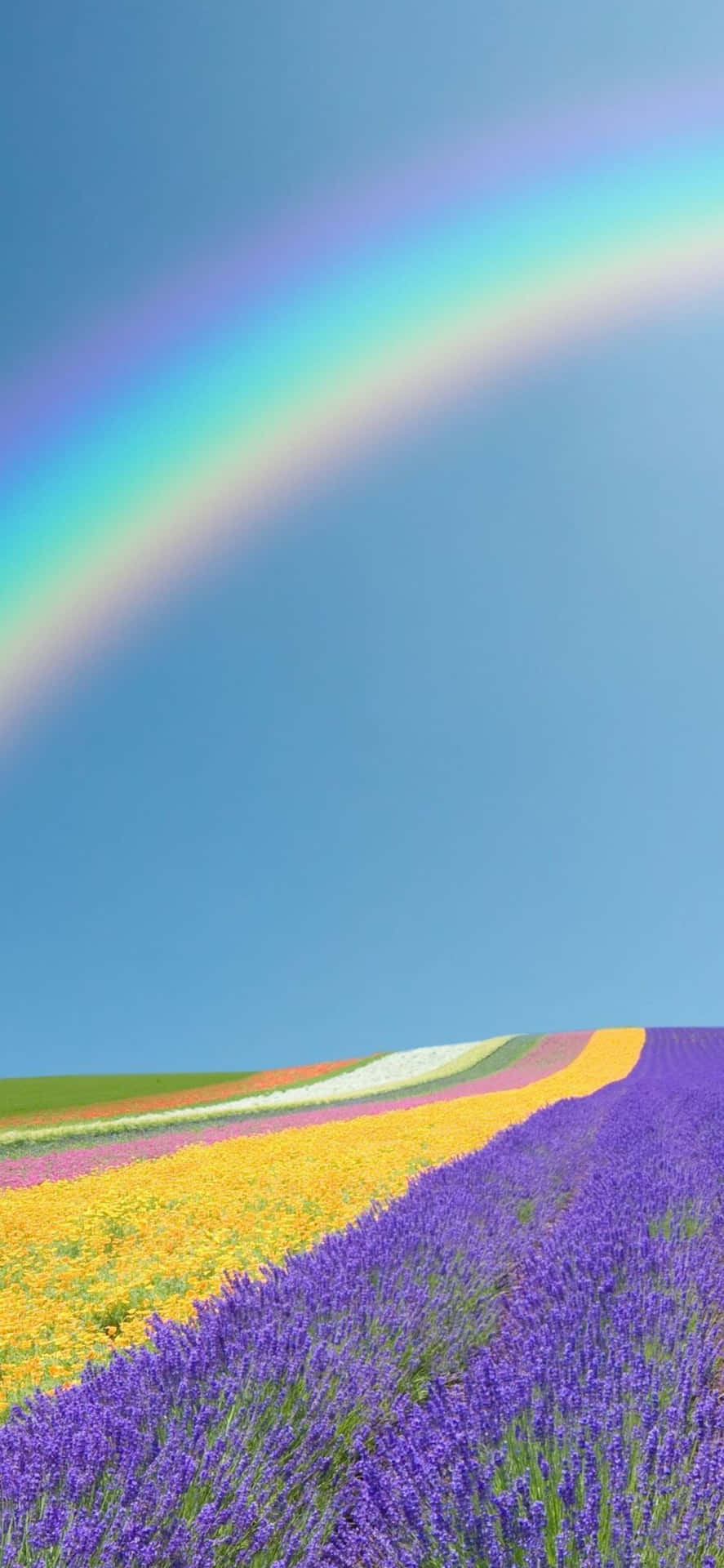 Goditiuna Splendida Primavera Con Il Google Pixel 3.