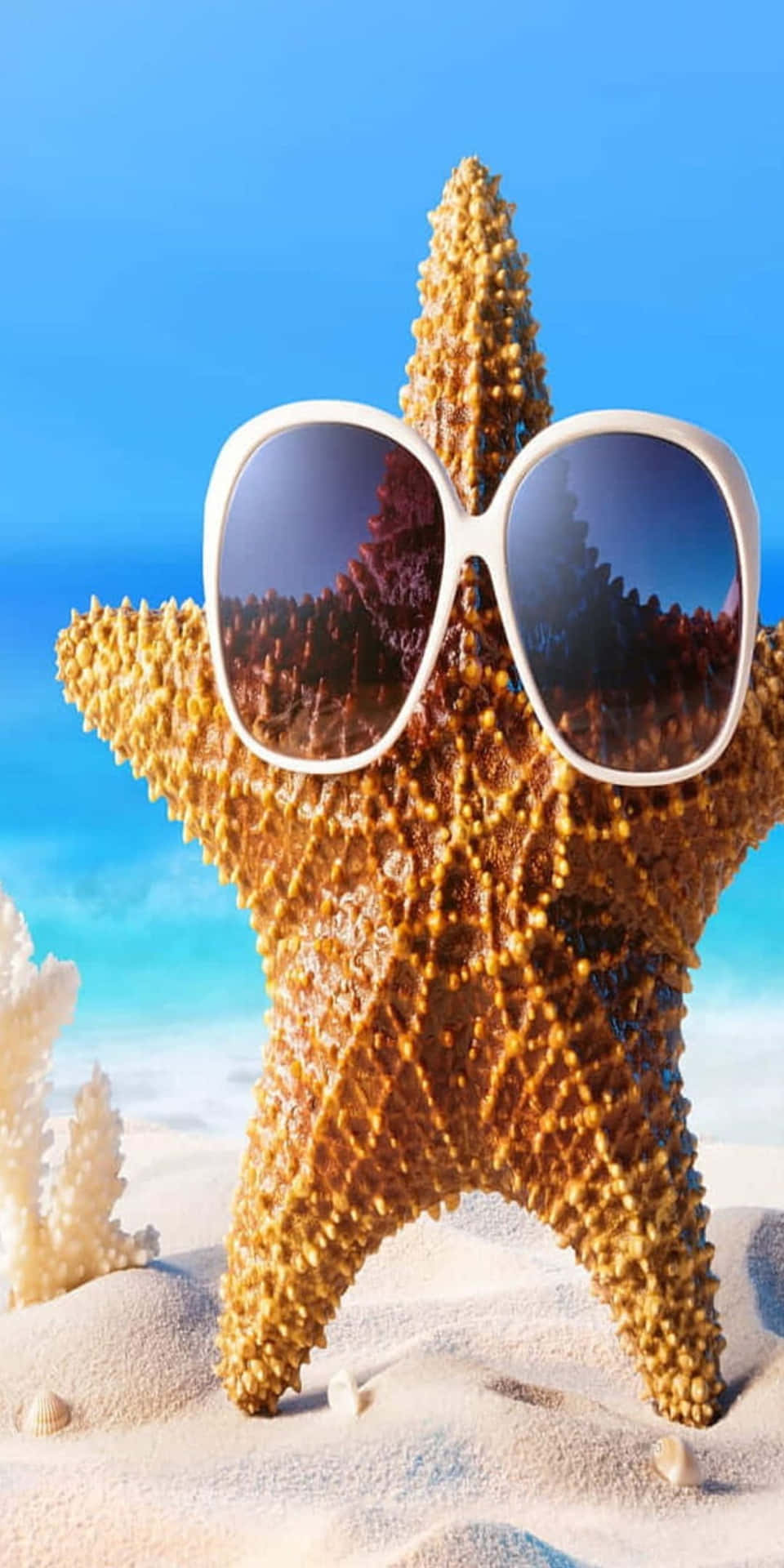 Starfish Sunglasses Pixel 3 Summer Background