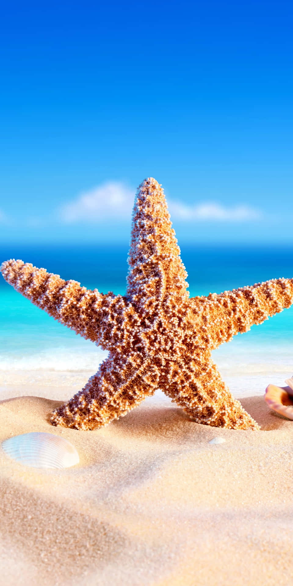 Fondode Pantalla De Verano Con Estrellas De Mar En La Playa Para Pixel 3.