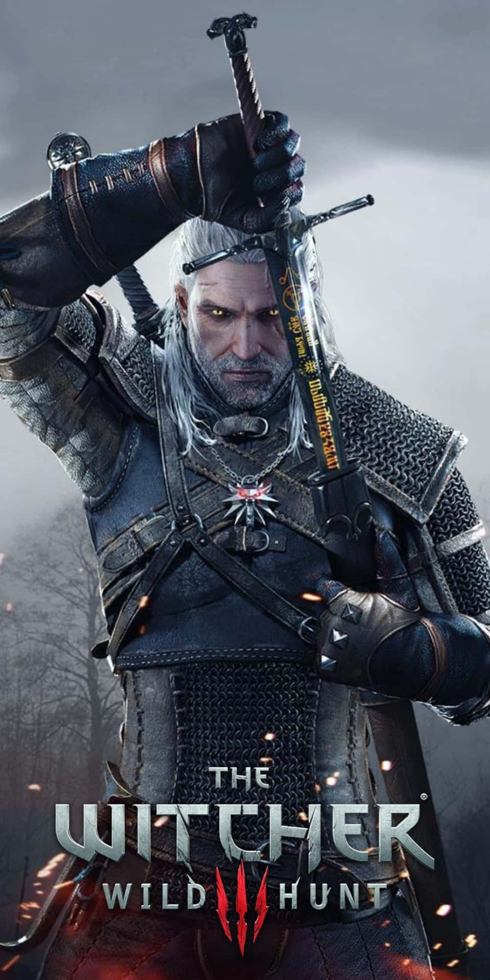 The Witcher Wild Hunt Pc