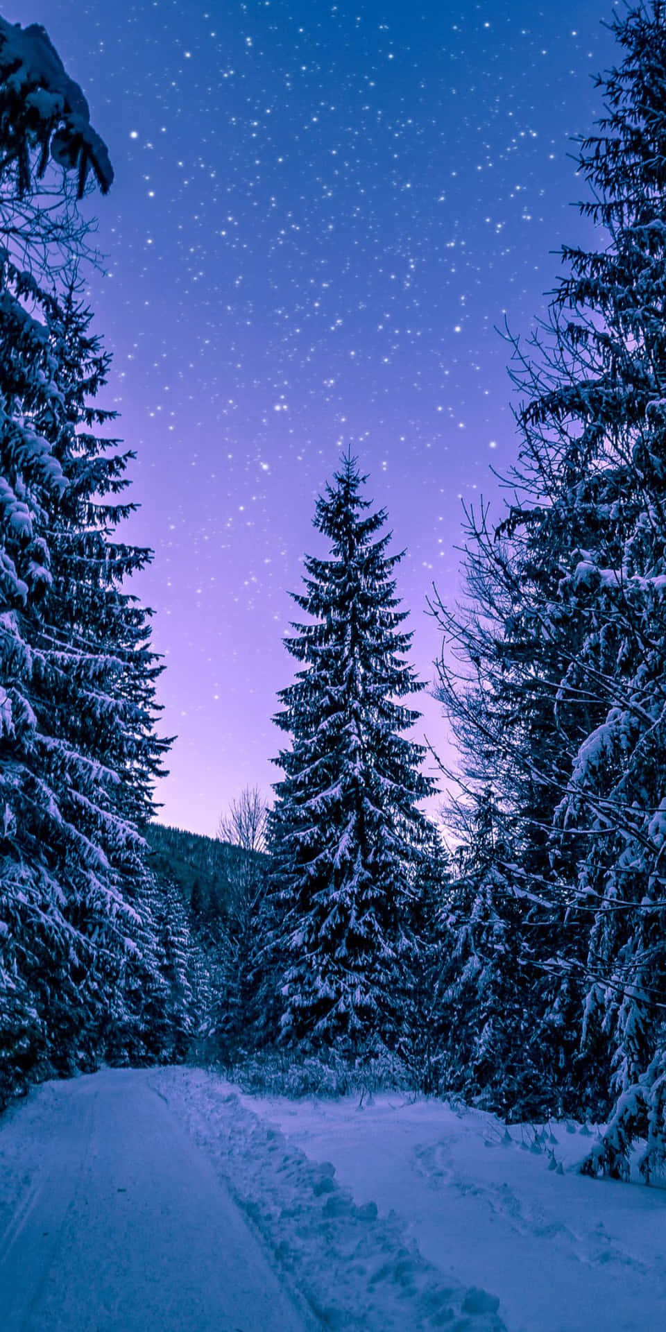 Pixel 3 Vinterbaggrund Snebeklædte Pinede træer