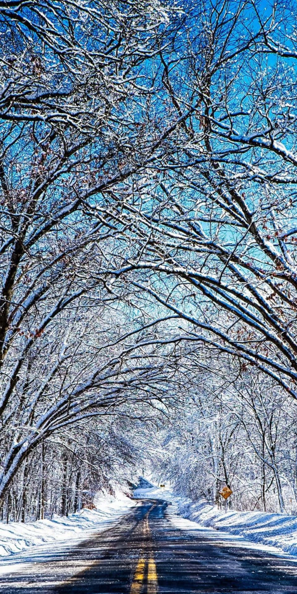 Pixel3 Vinterbakgrund Träd Som Täcker Vägen.