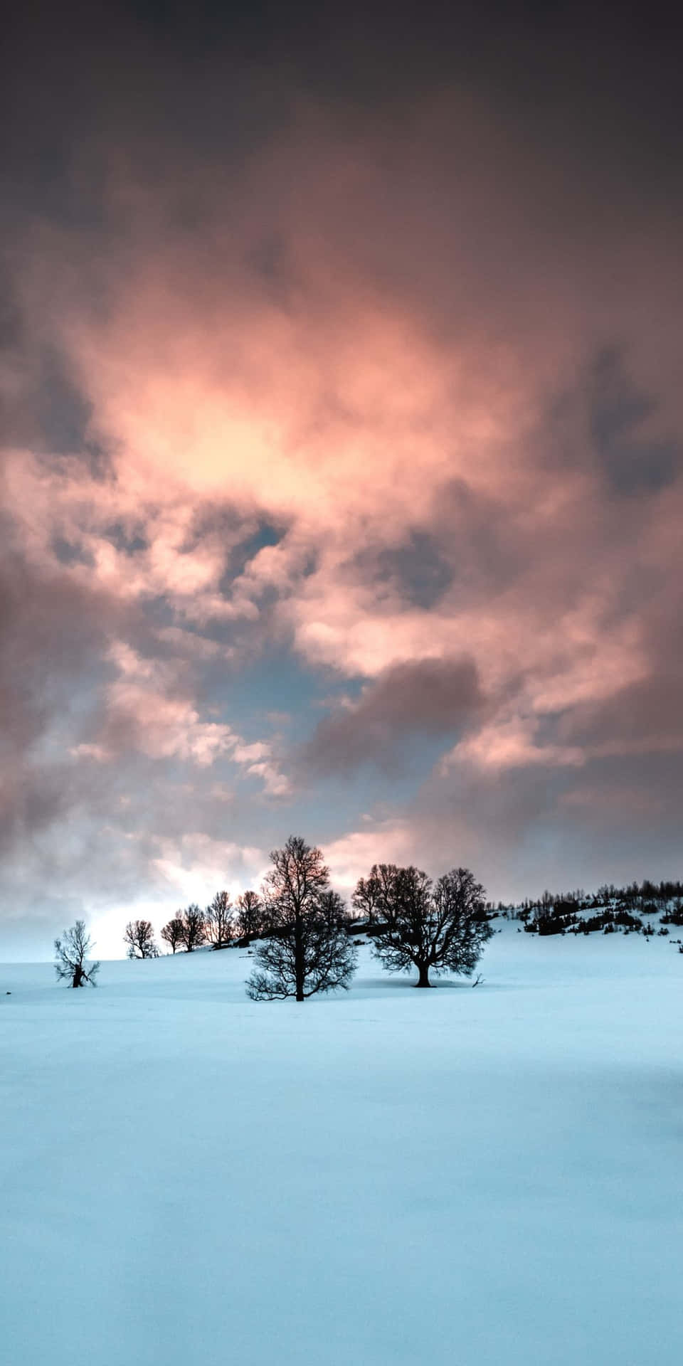 Pixel3 Winter Hintergrund Karge Schneelandschaft