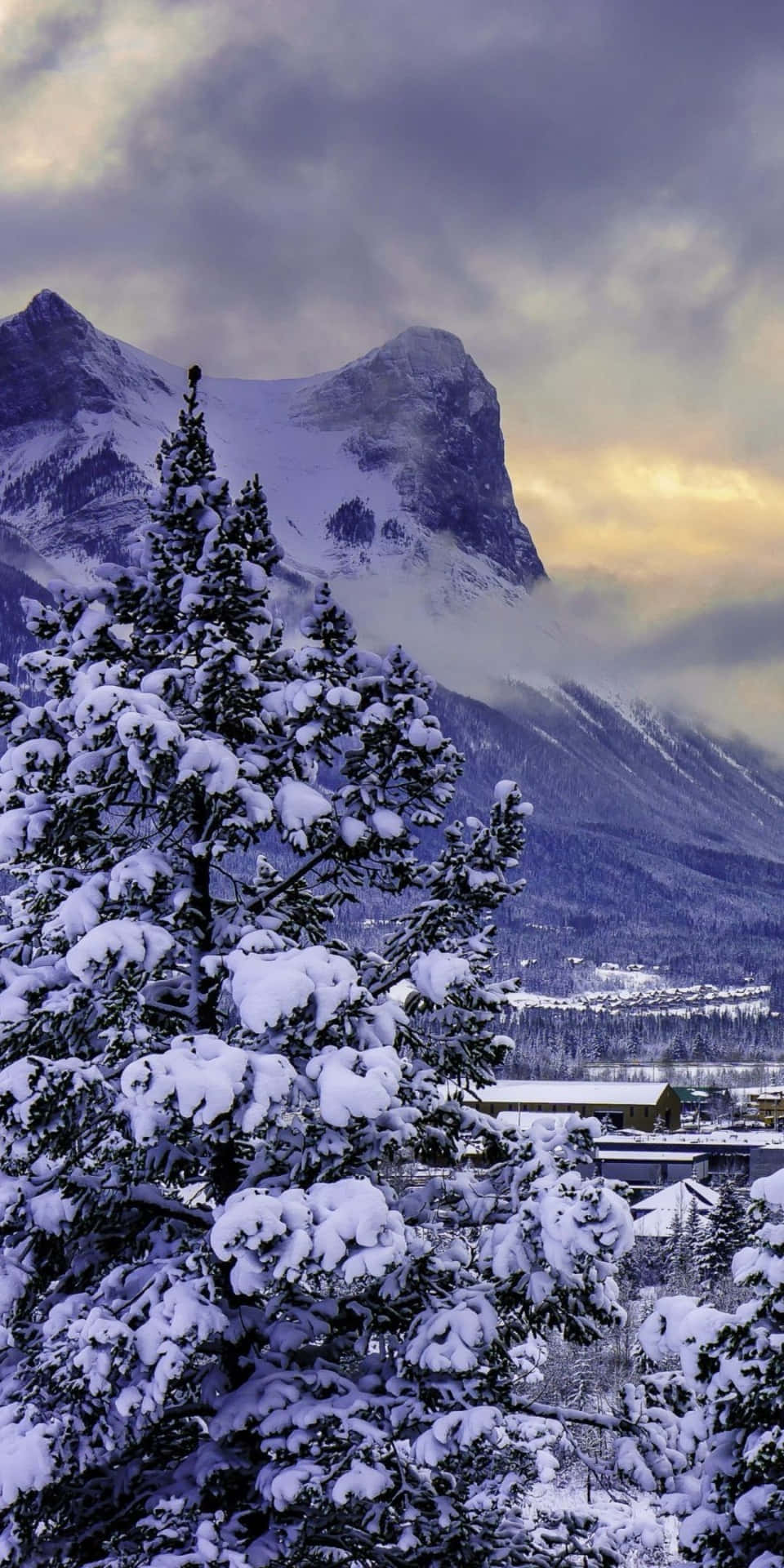 Pixel3 Winter Hintergrund Verschneite Bäume Und Ein Berg