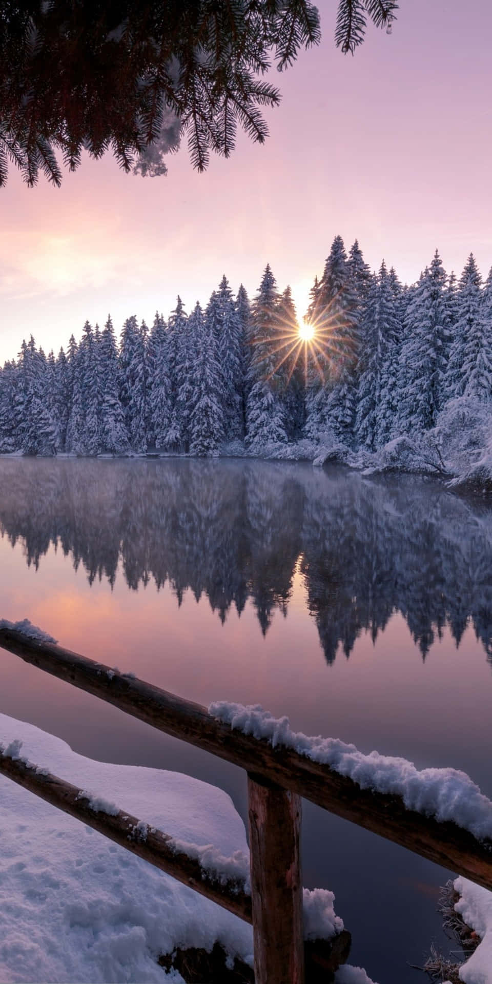 Pixel3 Winter Hintergrund Eiszugefrorener Fluss Neben Dem Wald