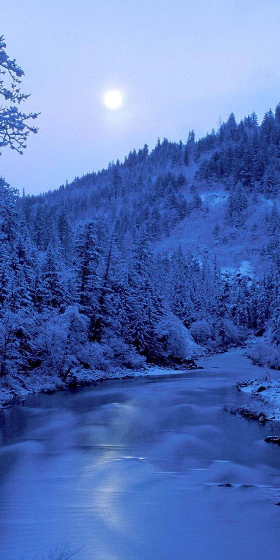 Pixel3 Winter Hintergrund Blau Getönter Wald