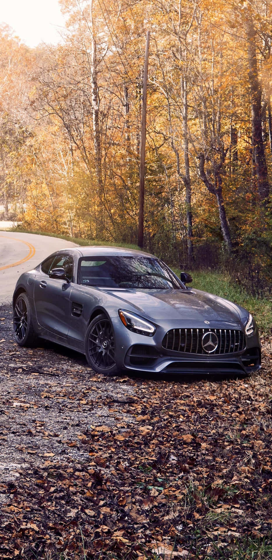 Mercedes-Benz On Yellow Forest Pixel 3XL AMG GT-R Background