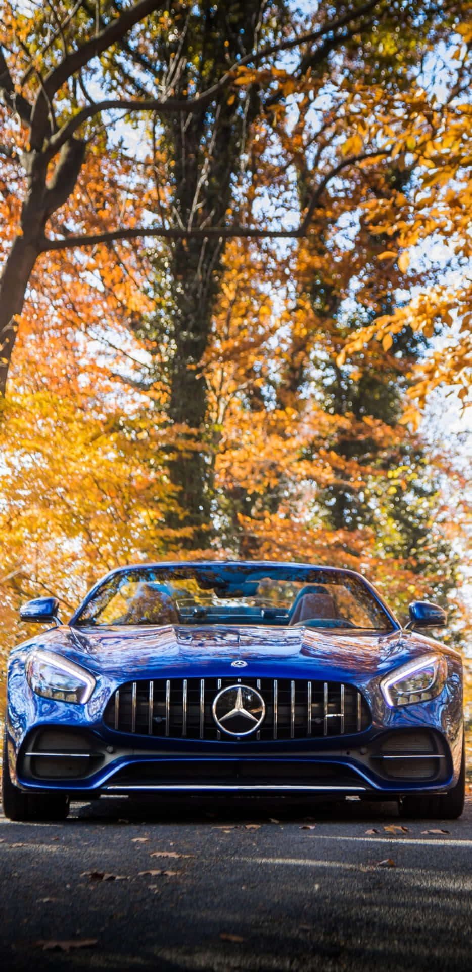 Blue Mercedes Against Autumn Trees Pixel 3XL AMG GT-R Background