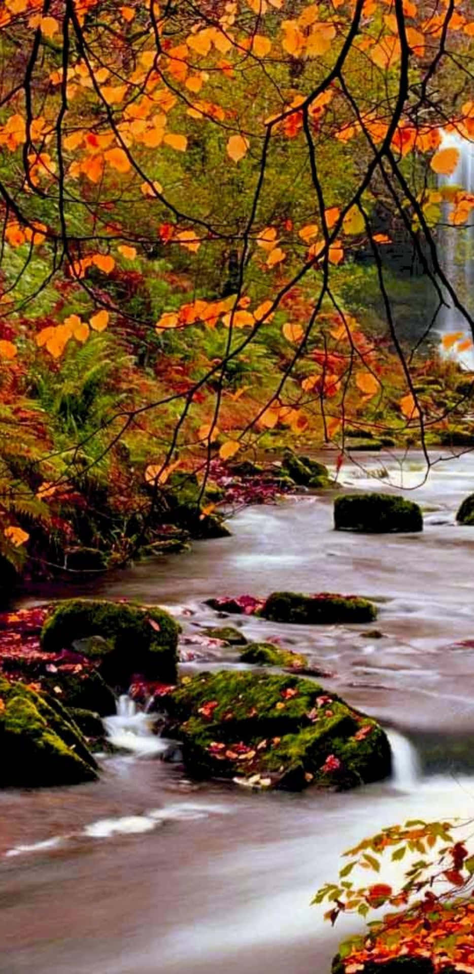 Pixel 3xl Autumn Background River In The Forest Wallpaper