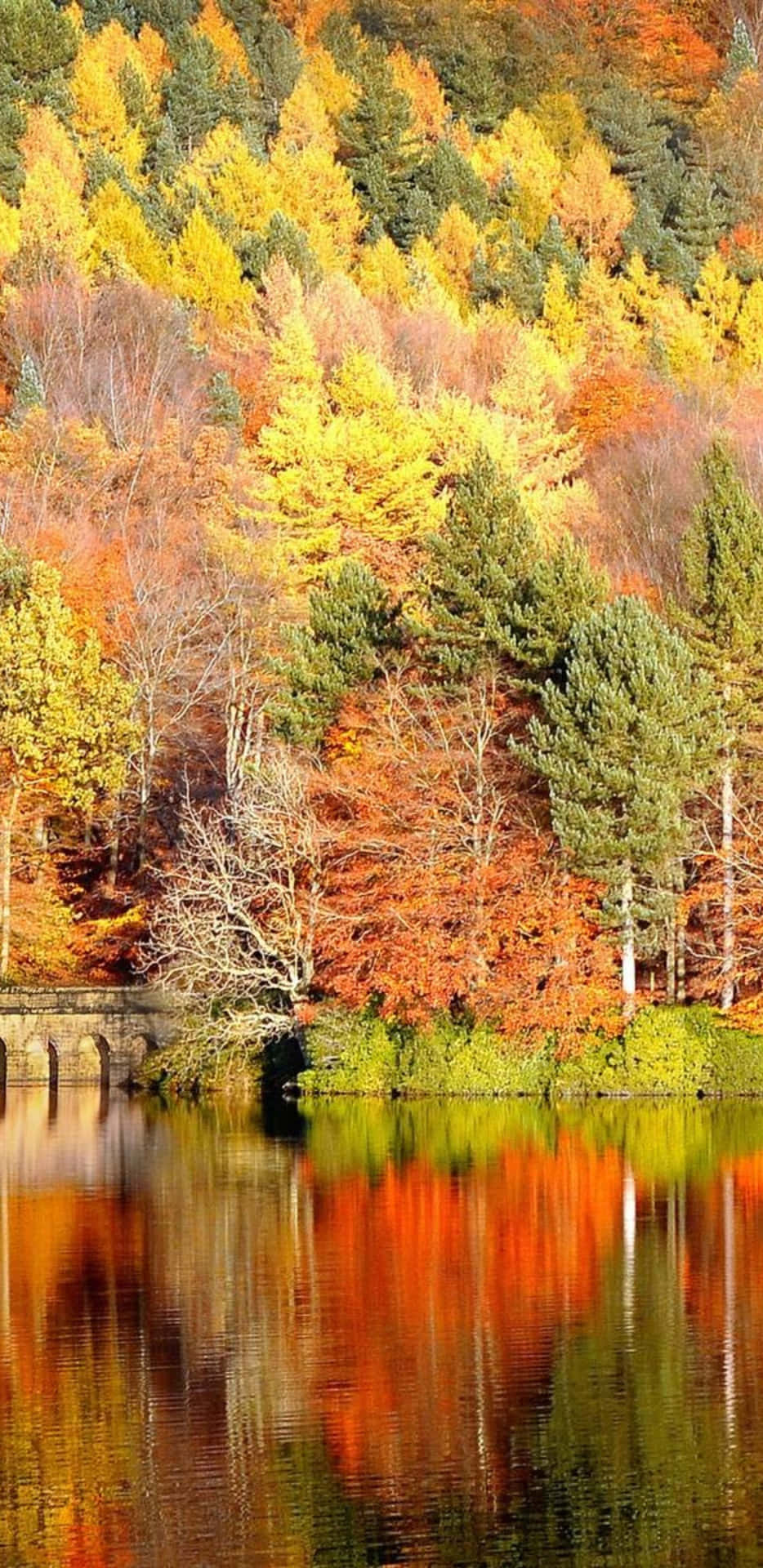 Pixel 3XL Autumn Background Of Beautiful Lake