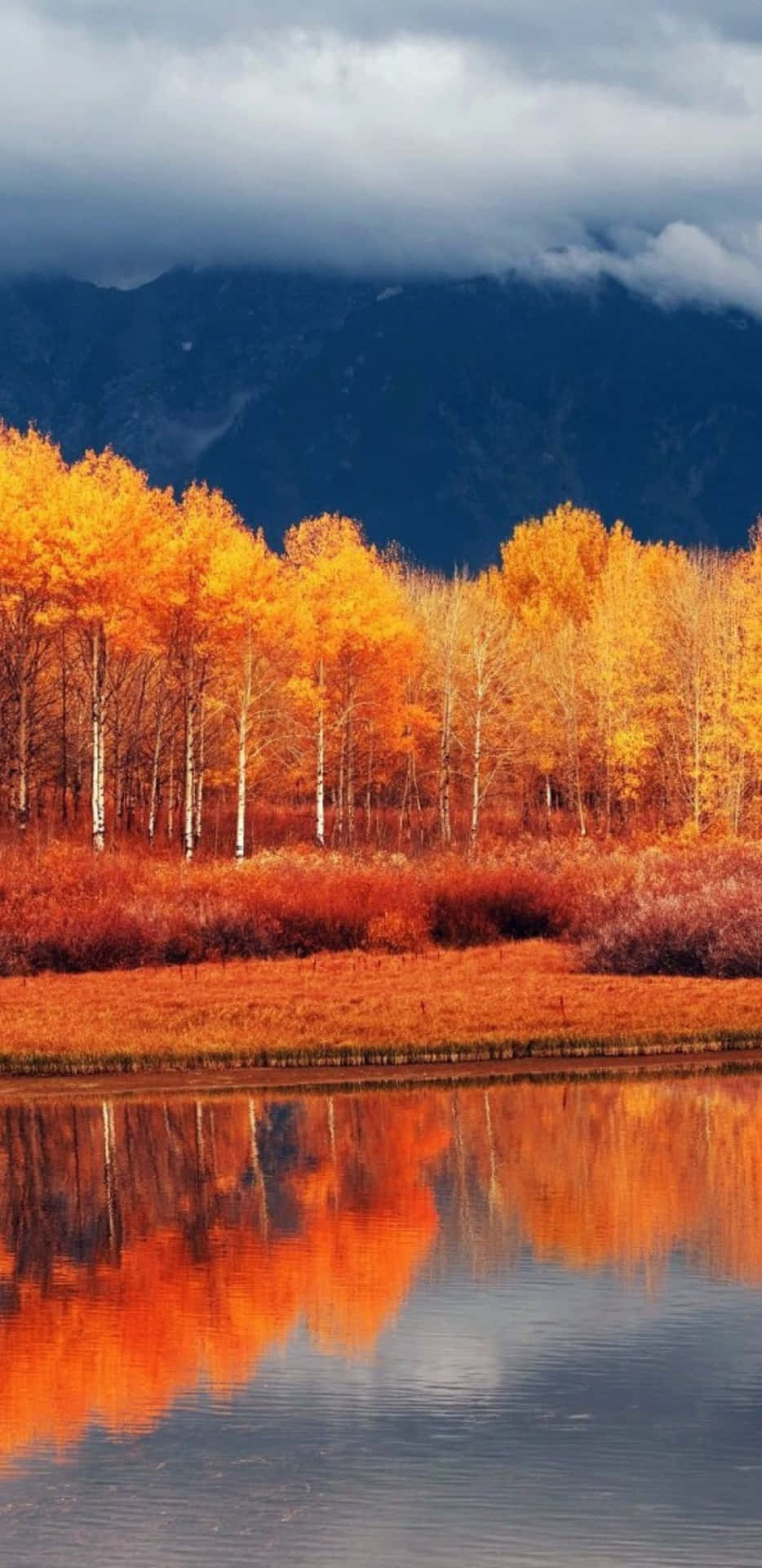 Papelde Parede De Outono Com Vista Para O Lago Para Pixel 3xl.