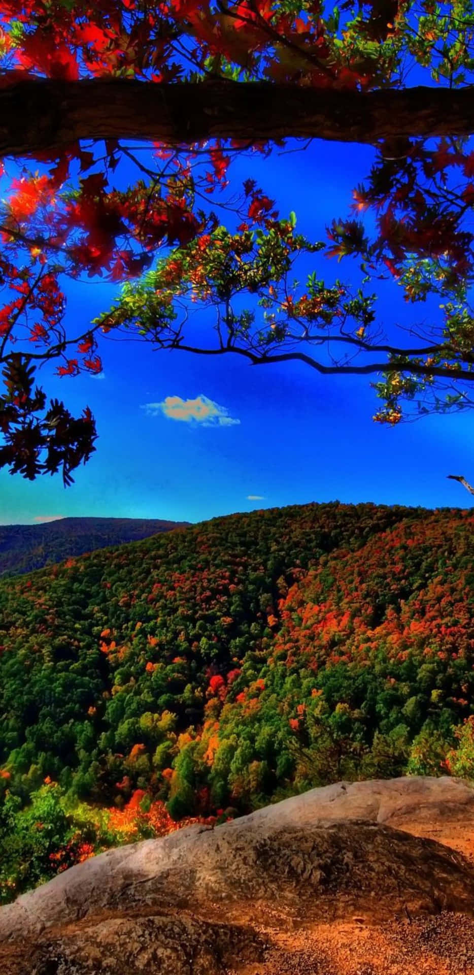 Pixel3xl Herbst Hintergrundbild Vom Gipfel Eines Berges