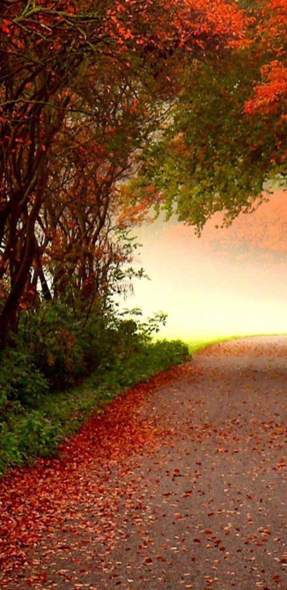 Pixel3xl Herbstlicher Nebelhintergrund