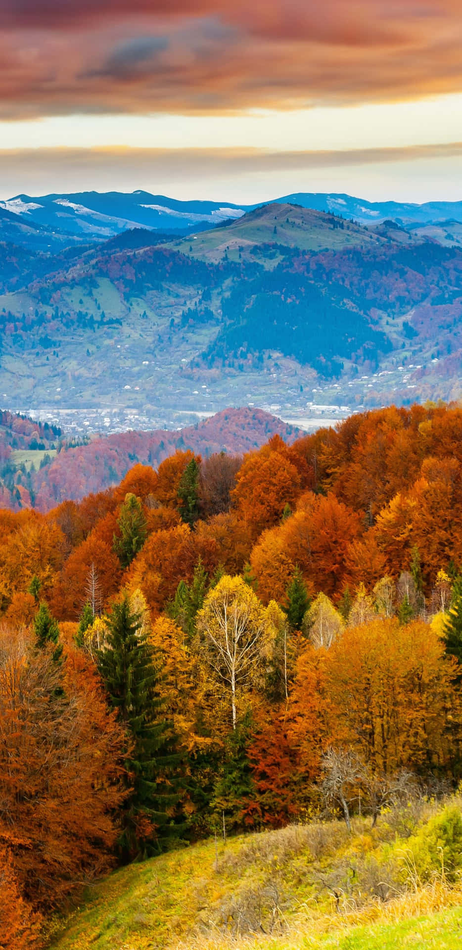 Pixel3xl Hintergrundbild Mit Herbstbäumen Auf Einem Hügel