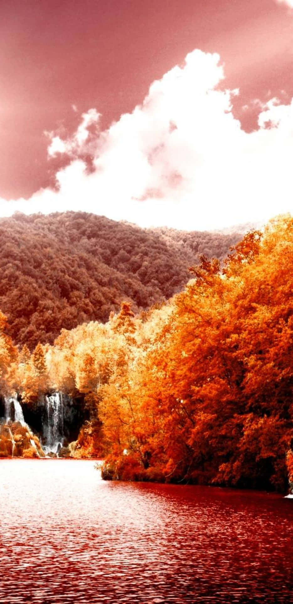 Pixel 3xl Autumn Background Orange Trees By The Lake