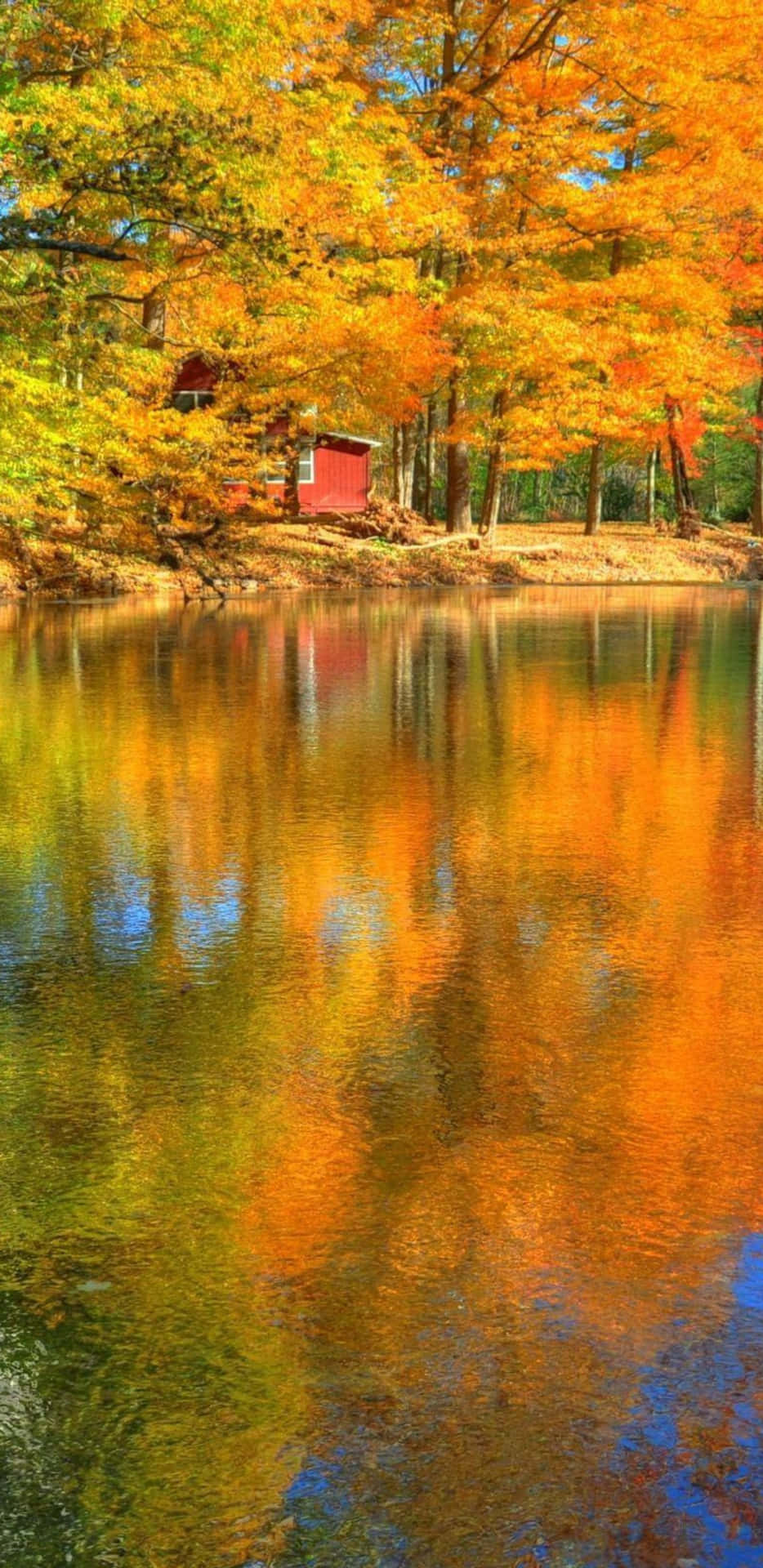 Pixel 3XL Autumn Yellow Trees Near The Lake Background