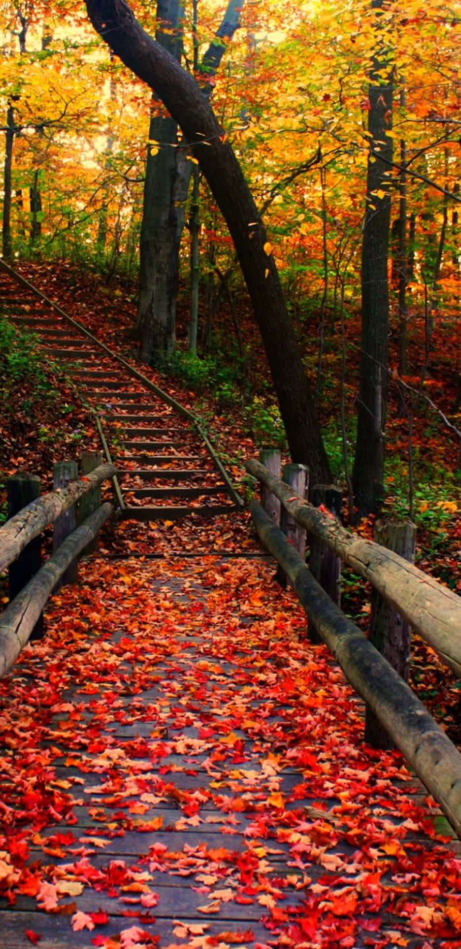 Pixel3xl Leerer Steg Im Herbst Hintergrund