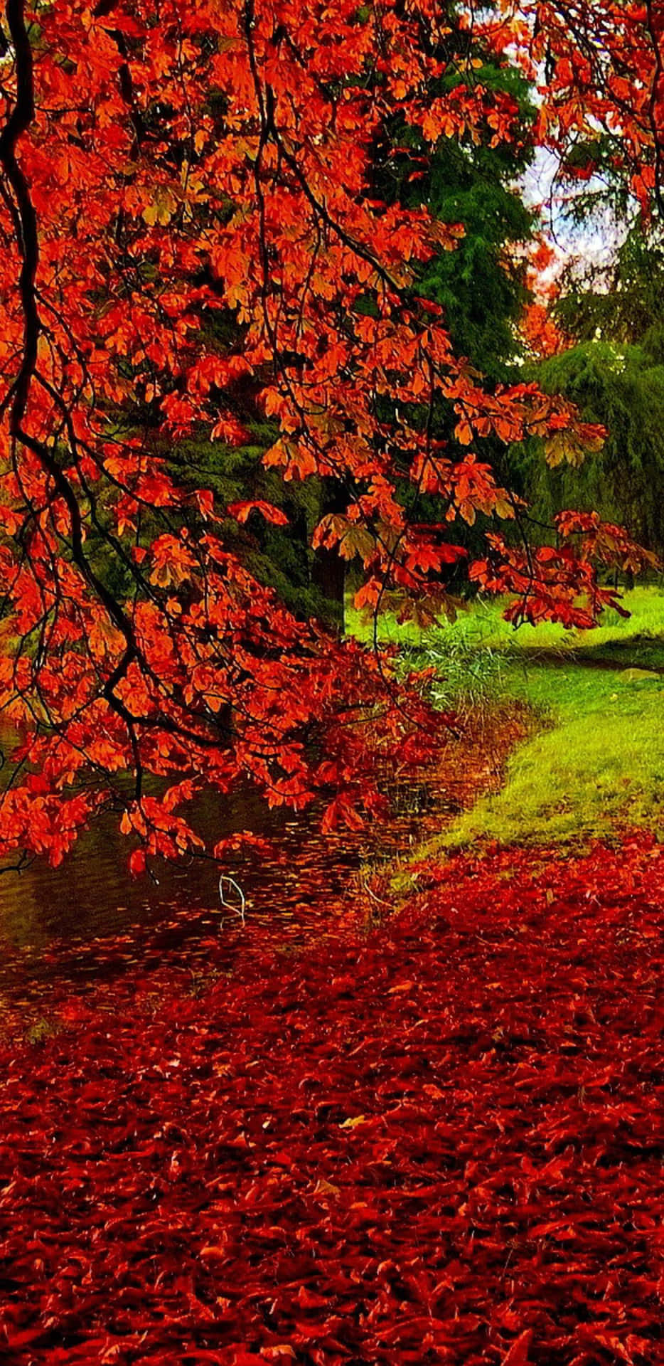 Fundode Tela Do Pixel 3xl Vermelho Com Tema De Natureza No Outono.