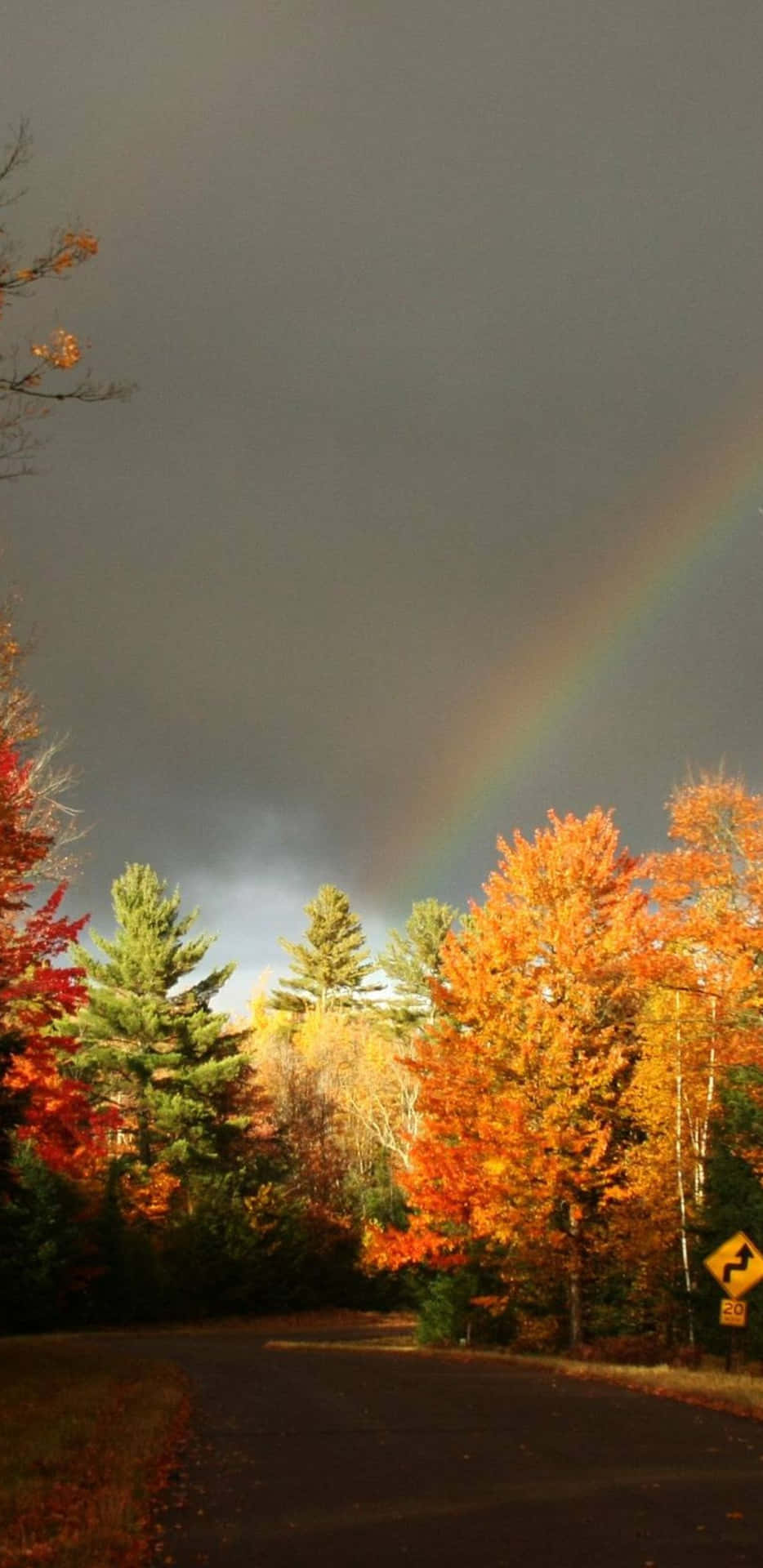 Pixel3xl Herbsthintergrund Regenbogen Über Waldbäumen