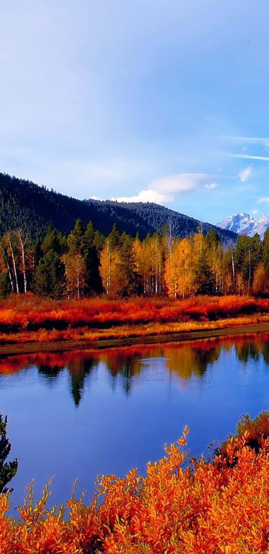 Pixel 3XL Autumn Background Of Beautiful Nature