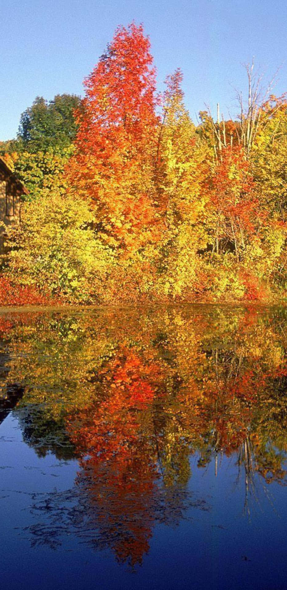 Pixel3xl Herbstbäume Und Friedlicher See Hintergrund