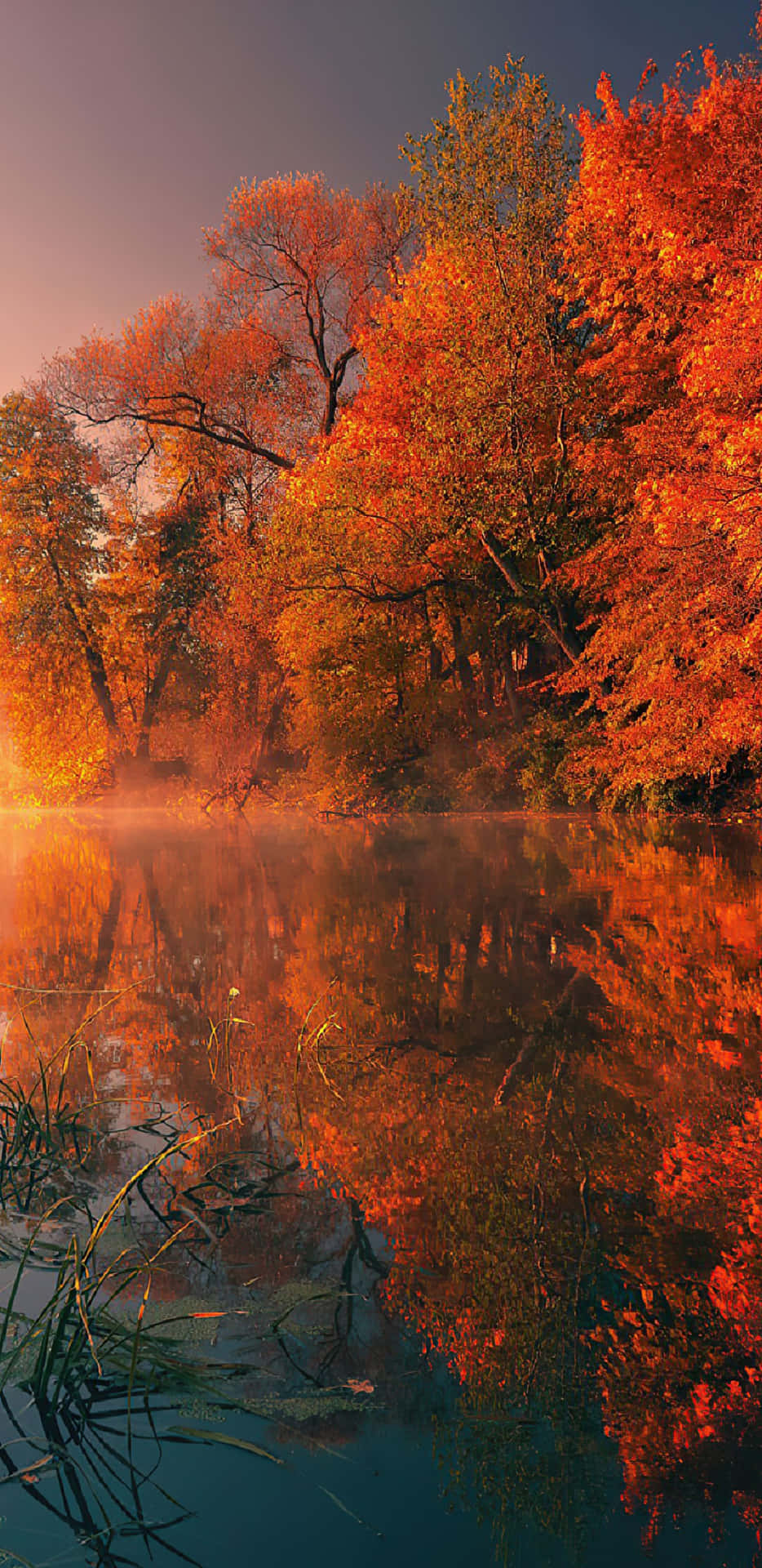 Pixel3xl Herbstbäume Am See Hintergrund
