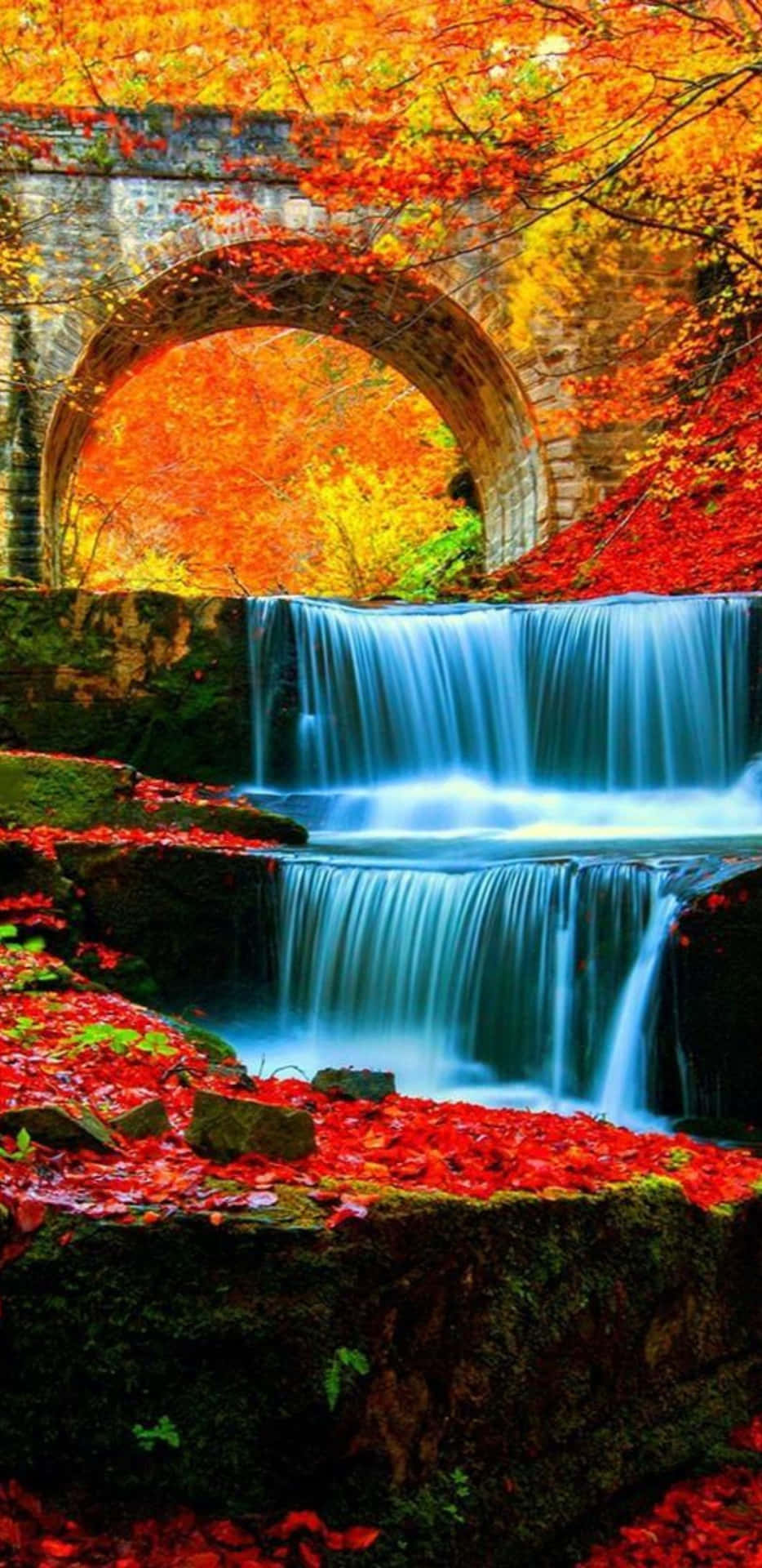 Pixel 3XL Autumn Background River Stream Under The Bridge
