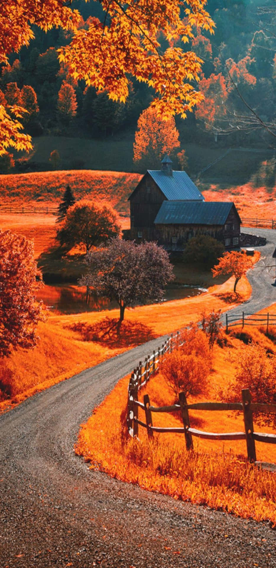 Pixel 3XL Autumn Background Beautiful Country Road