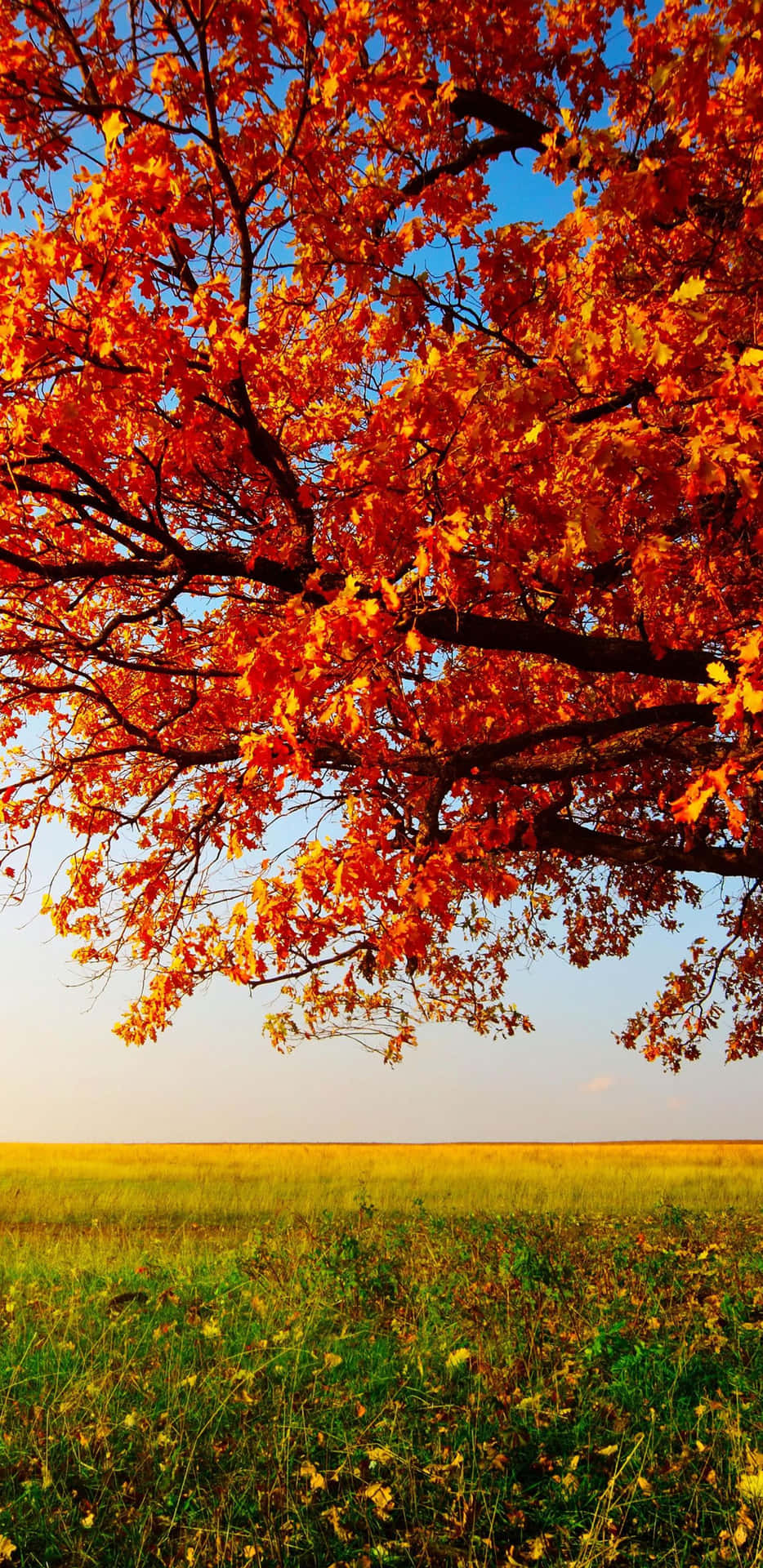Pixel3xl Landschaftliche Natur Im Herbst Hintergrund