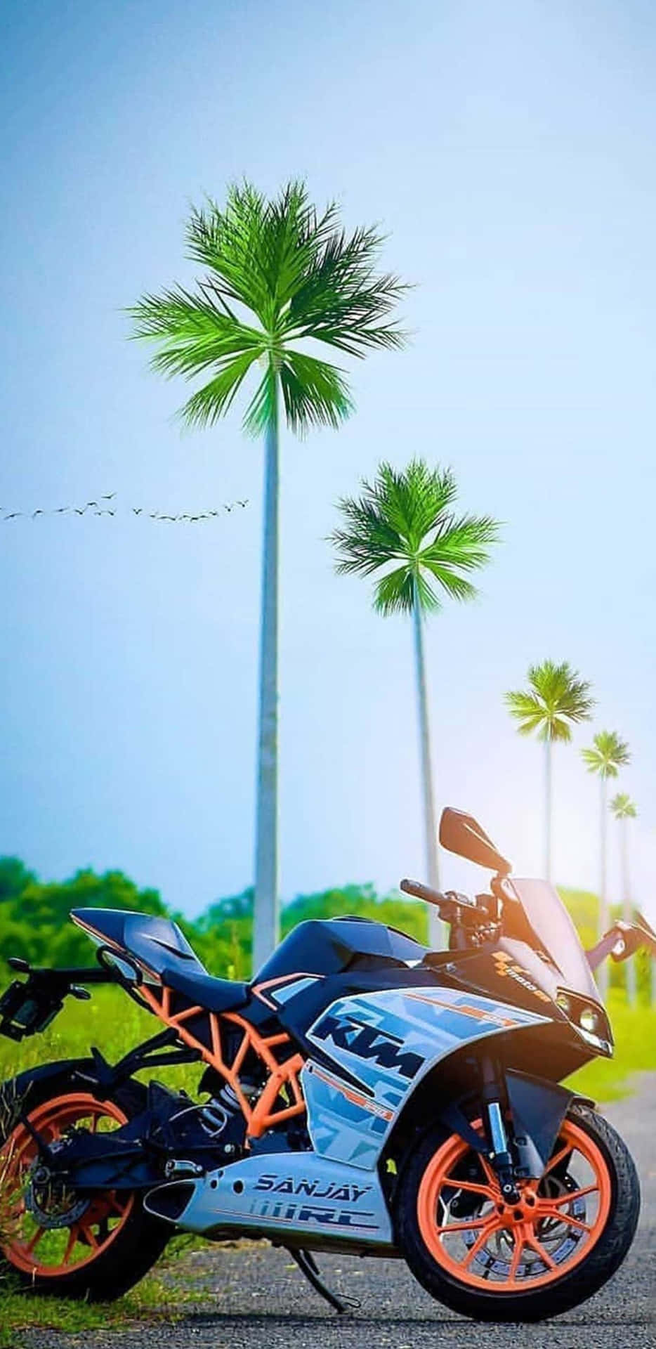 A Motorcycle Parked On A Road With Palm Trees