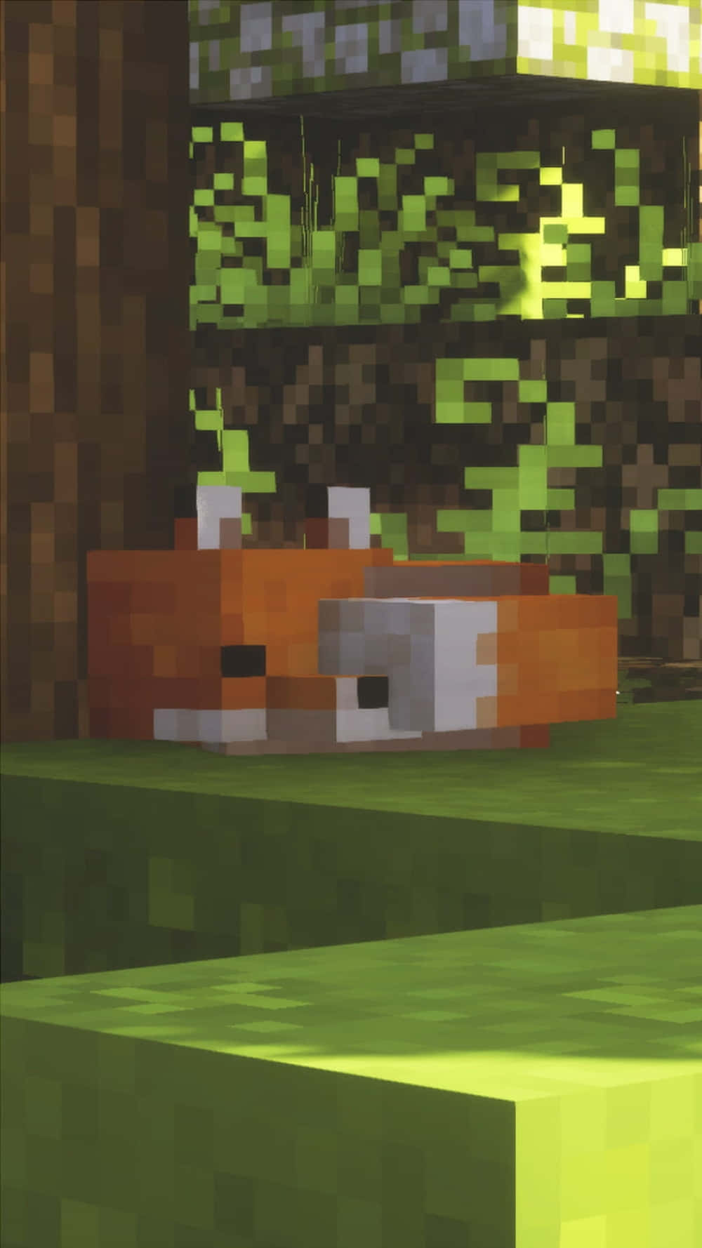 Pixel 3xl Minecraft-baggrund Fox Sød