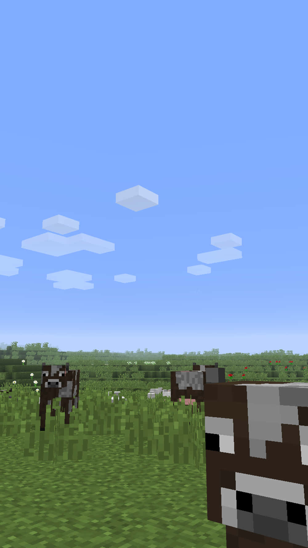 Fondode Pantalla De Minecraft En El Pixel 3xl: Vacas Pastando.