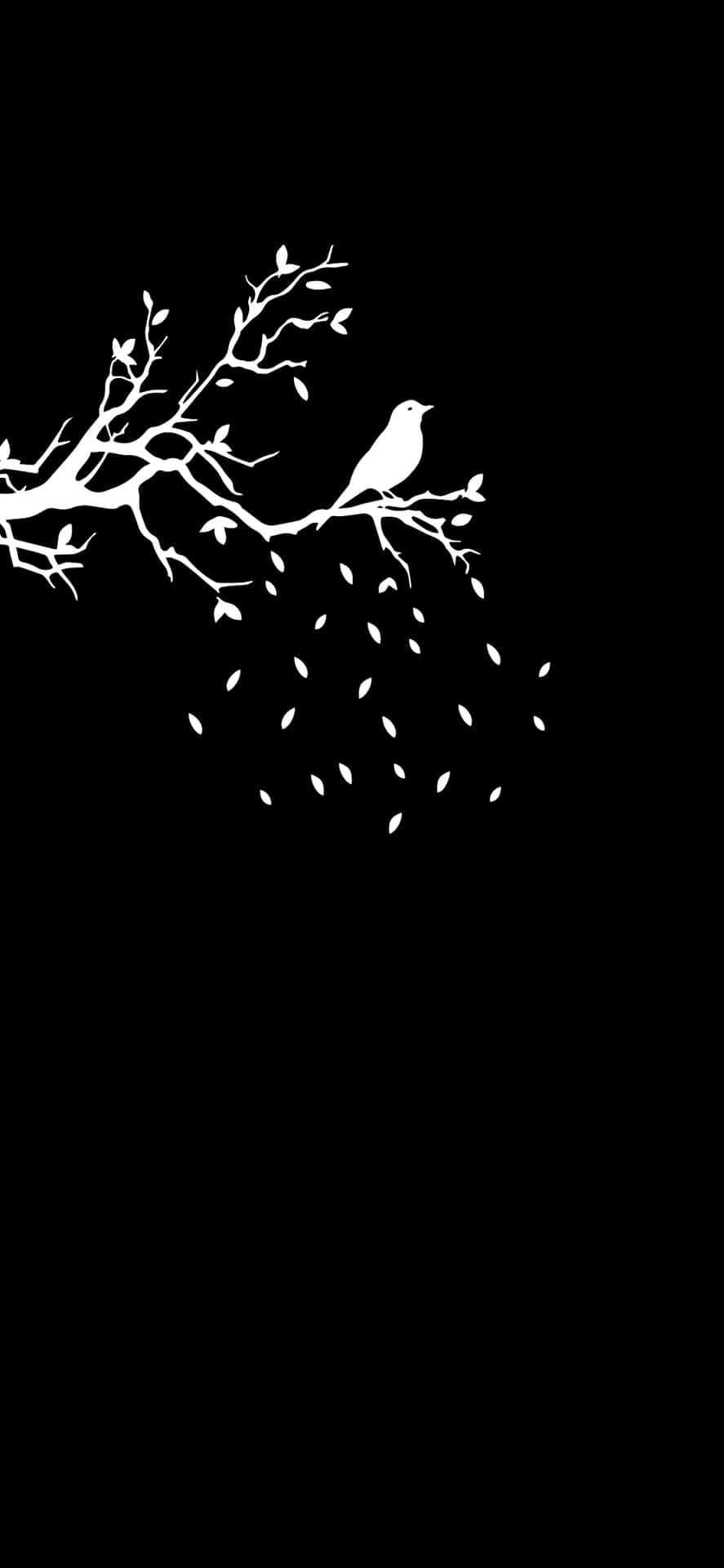 Tree Branches And A Bird Pixel 3xl Oled Background