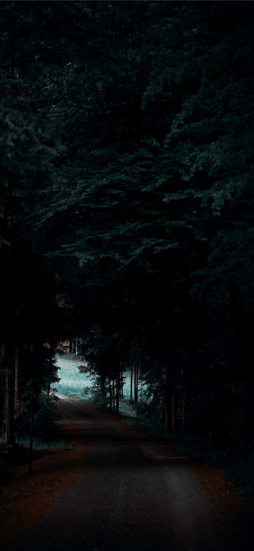 Dark Forest Pixel 3xl Oled Background
