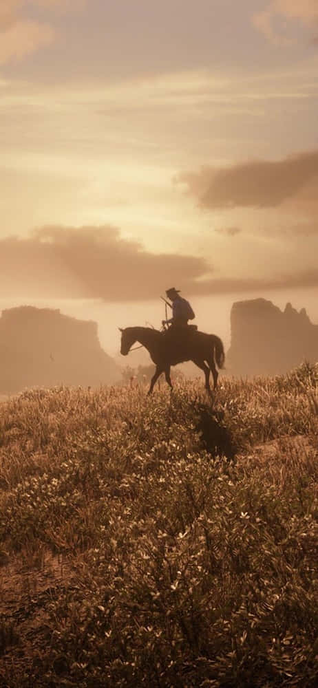 Pixel 3xl Red Dead Redemption 2 Background Cowboy Riding Horse In A Field Background