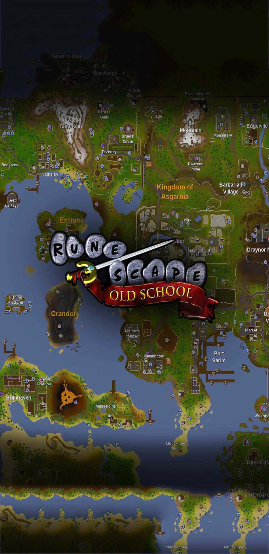 A dynamic perspective of the epic realm of Gielinor, as displayed on a Pixel 3xl screen, with a focus on Old School Runescape gaming environment.