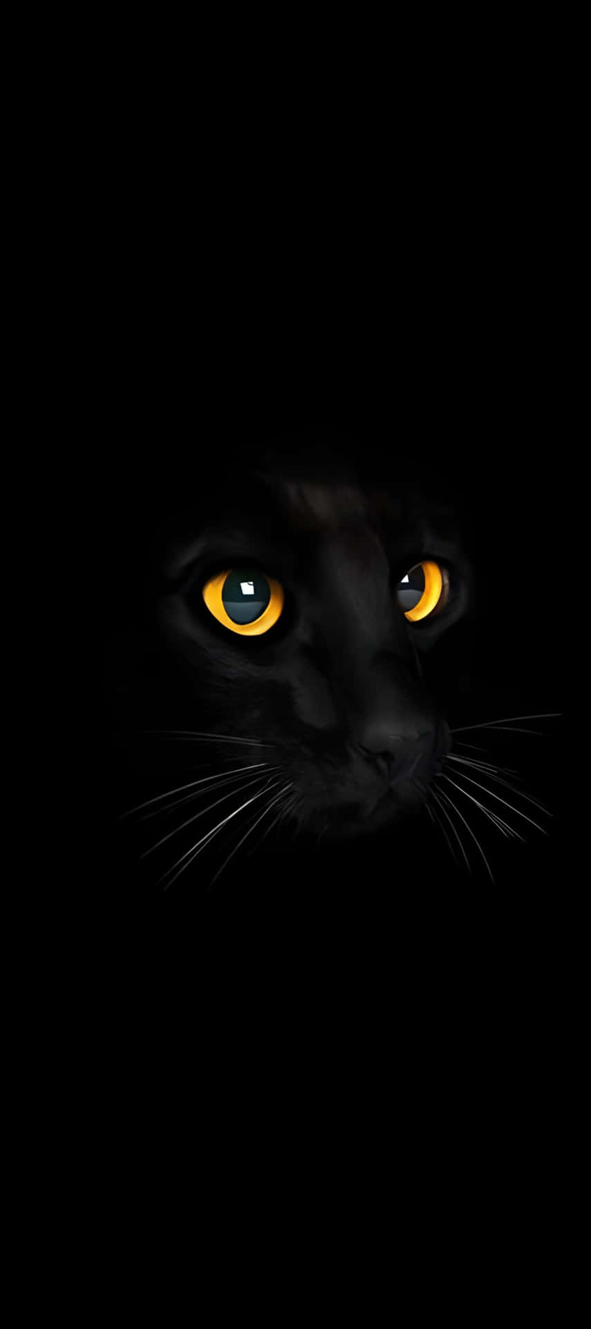 Fondo En Modo Oscuro Del Pixel 9 Fondo de pantalla