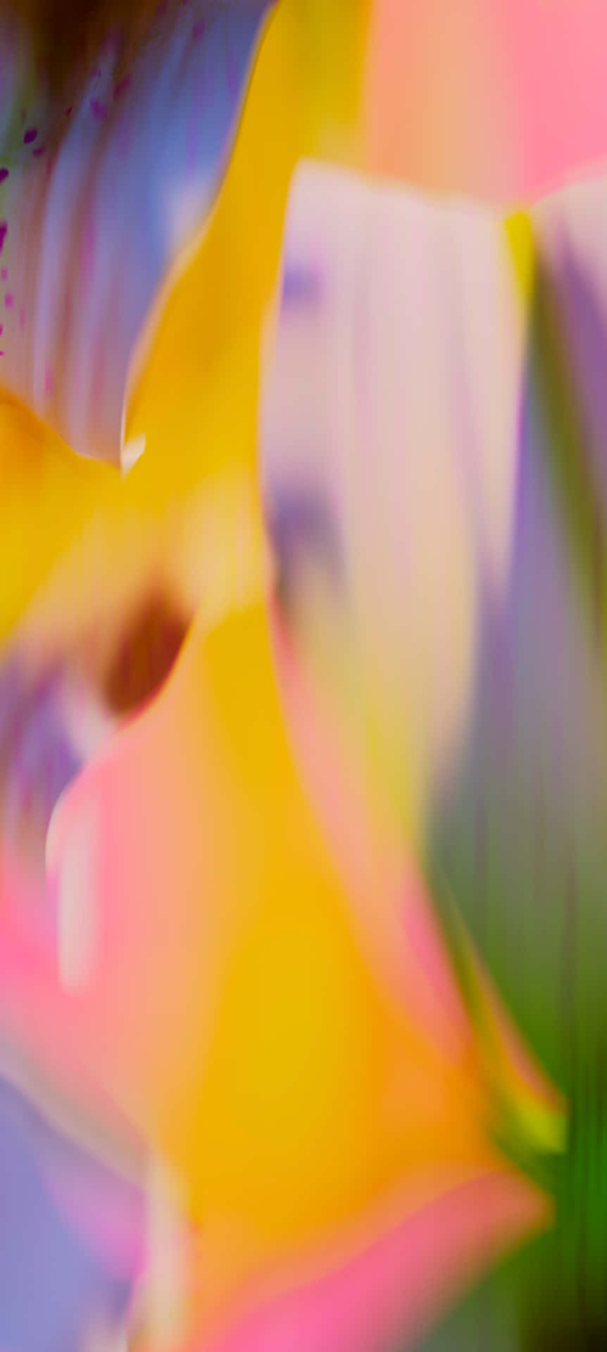 Fondo Vibrante Pixel 9a Fondo de pantalla