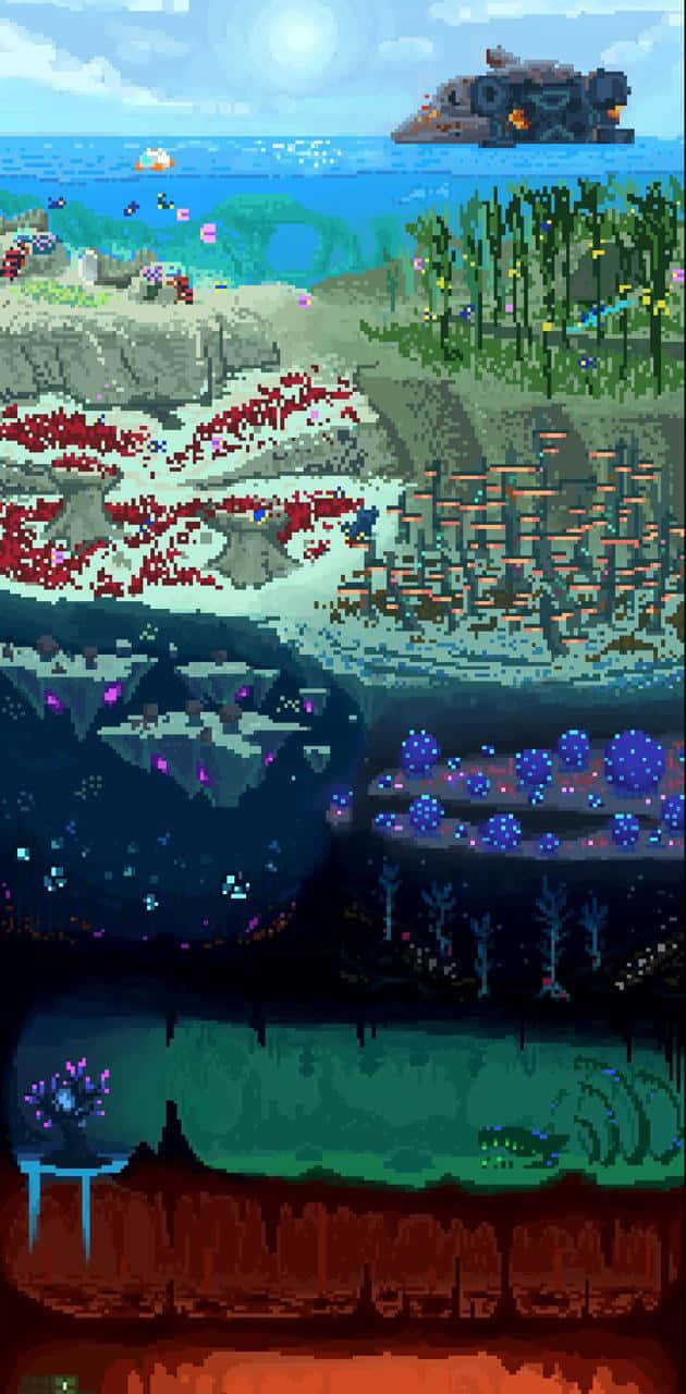 Et billede af havbunden med forskellige typer af planter og dyr. Wallpaper