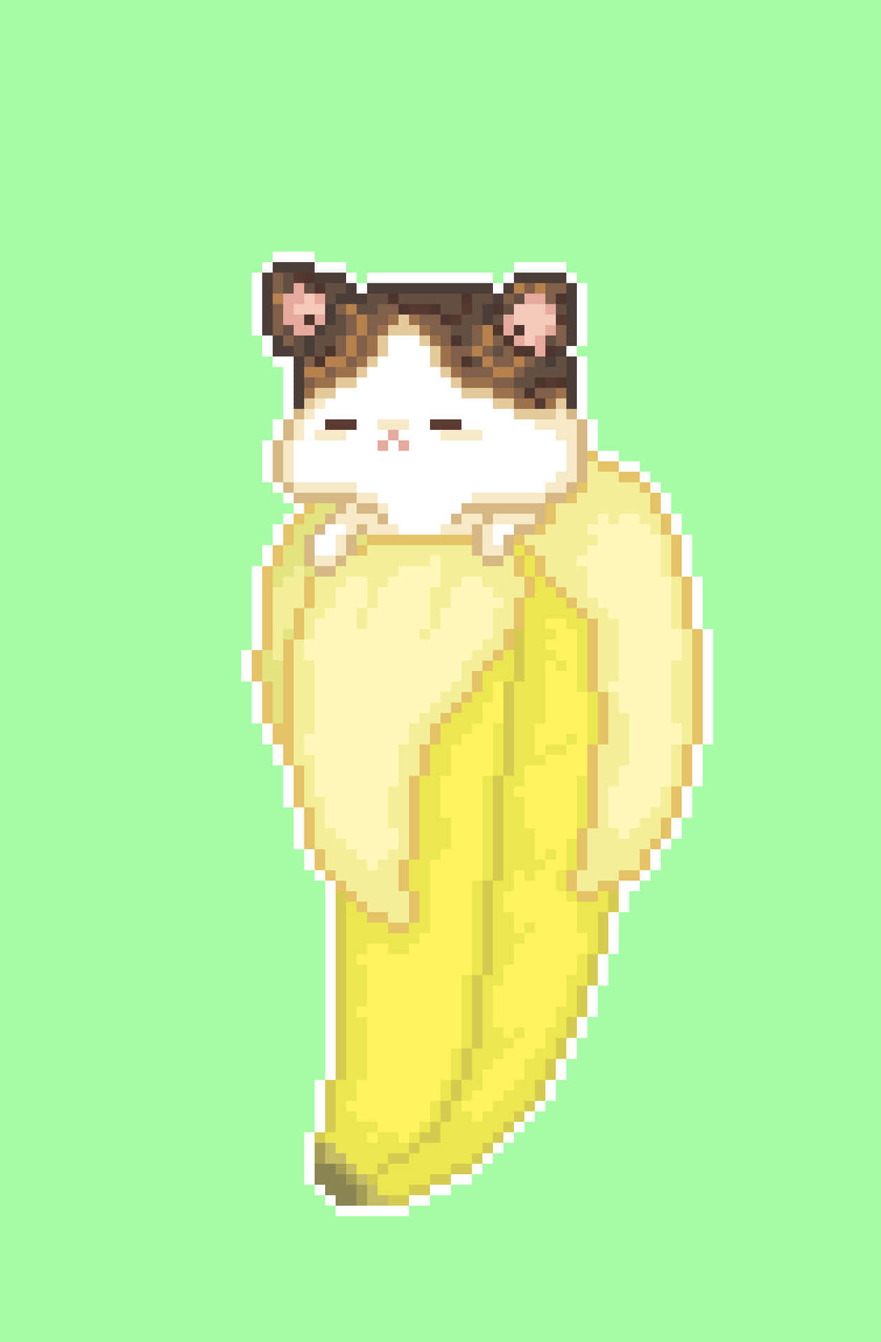 Pixelated Banana Cat Wallpaper