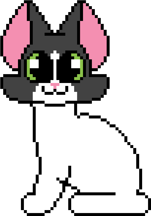 Pixelated Black Cat Meme PNG