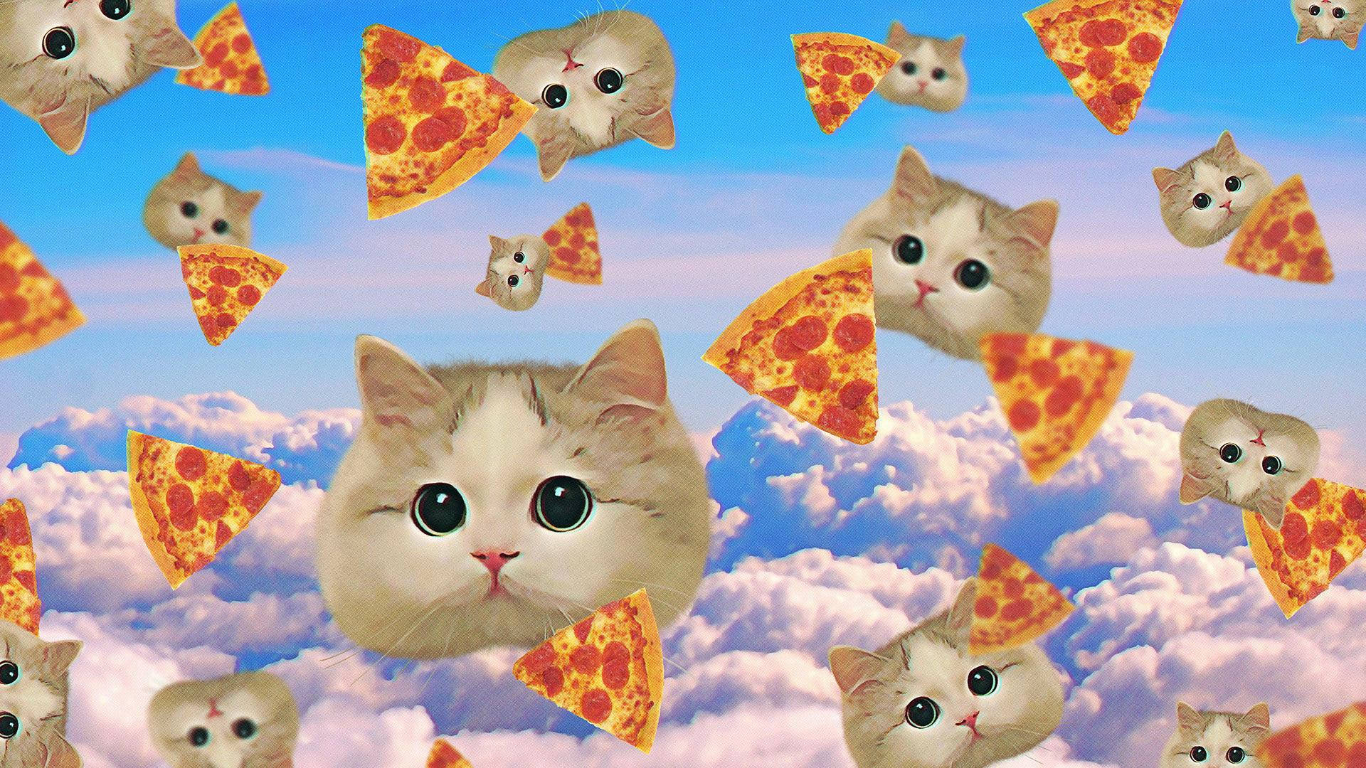 Pizza And Cats Wallpaper