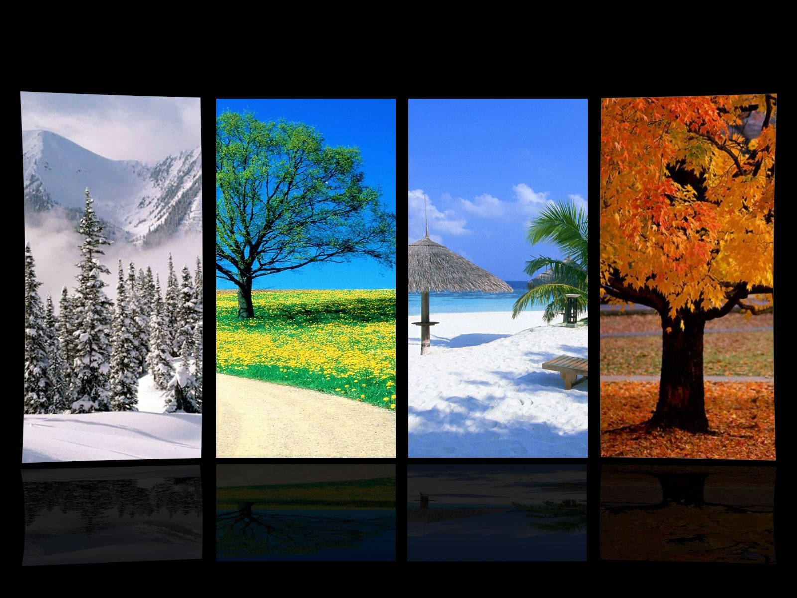 Places During Seasons Wallpaper