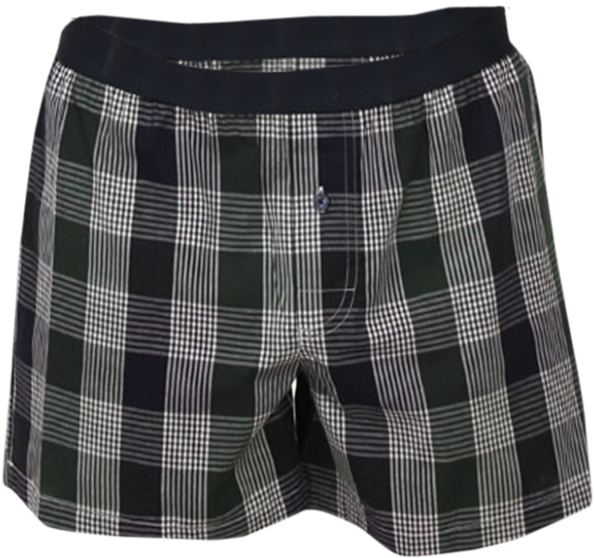 Plaid Mens Boxer Shorts PNG