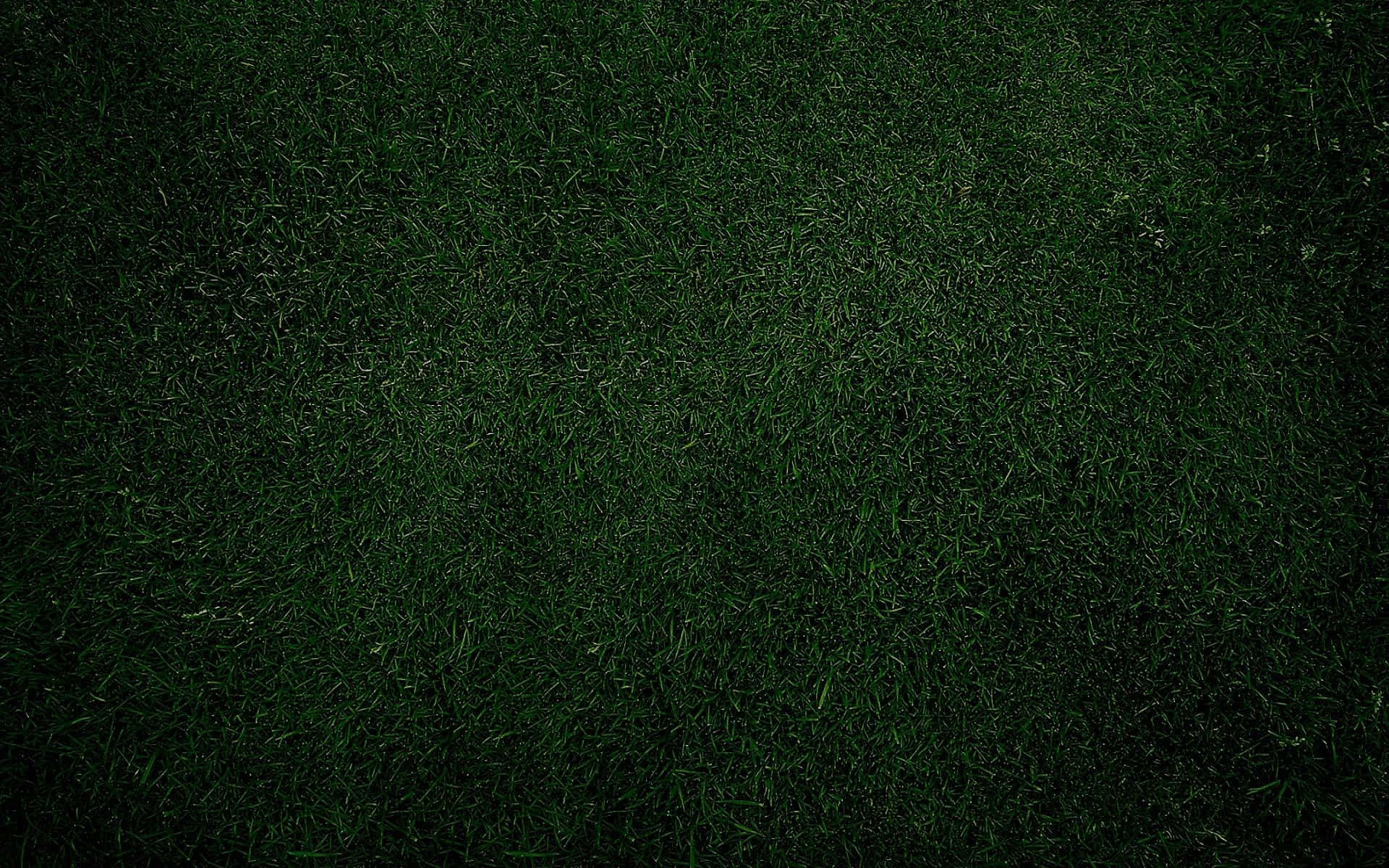 a green grass background with a black background
