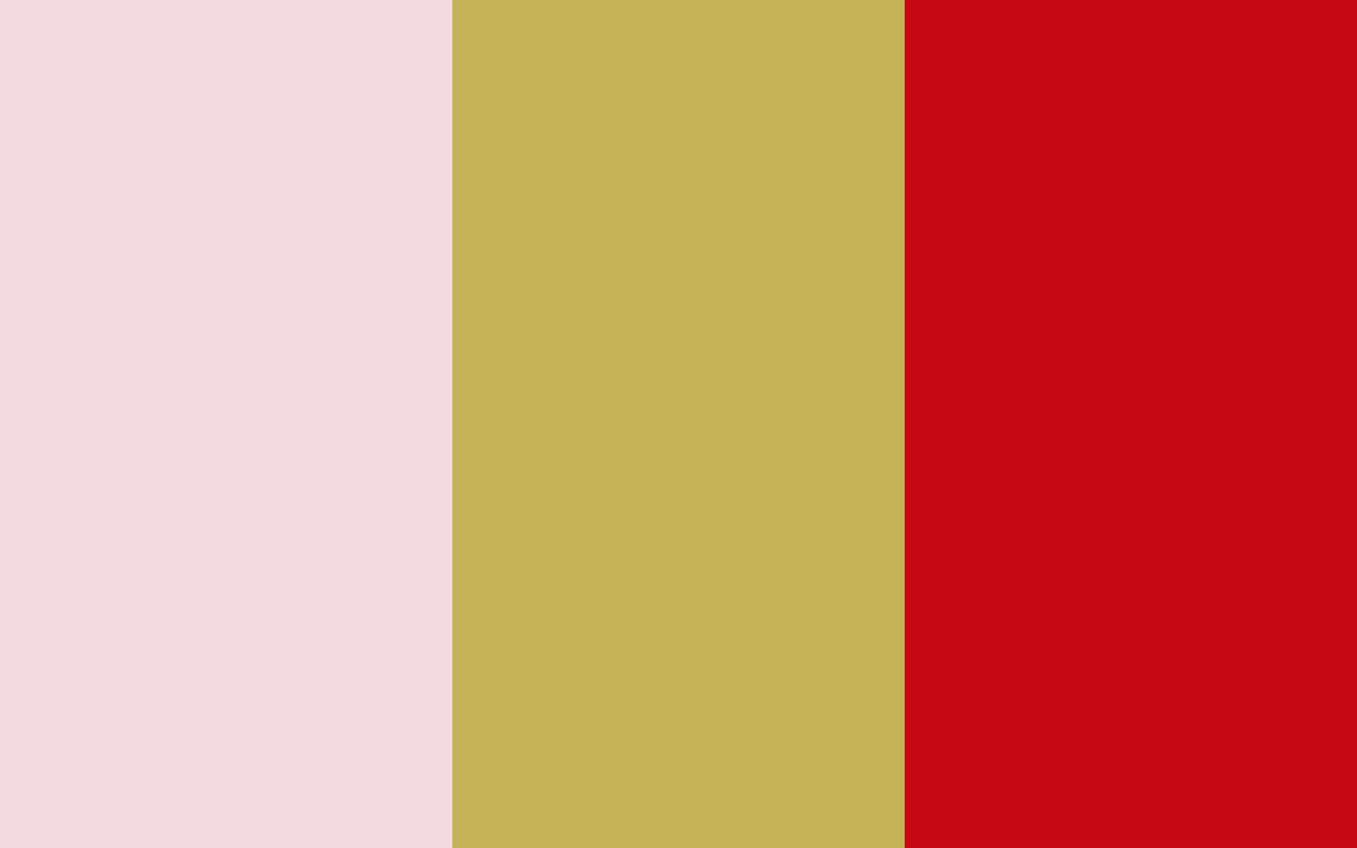 a red, pink, and yellow color palette